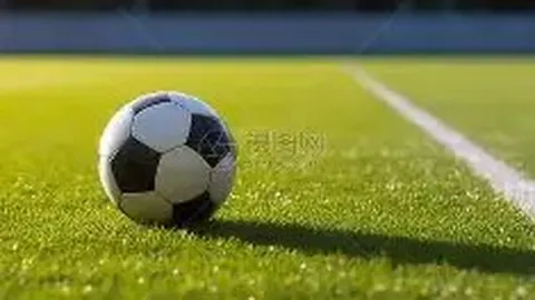 李铁点赞集训成效