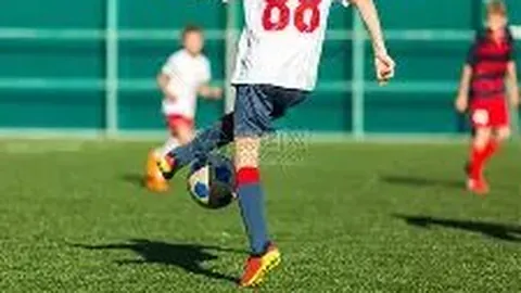 吴梦洁、庄宇珊及高意三位佳丽