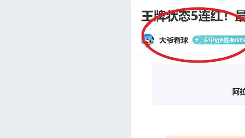 利雅得胜利欲与加布里埃尔签2000万欧免税年薪协议